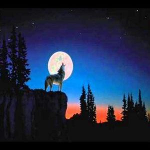 Meet your Posher, Miriam